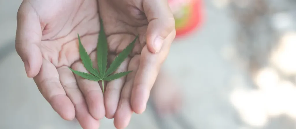 Plant-based medicine